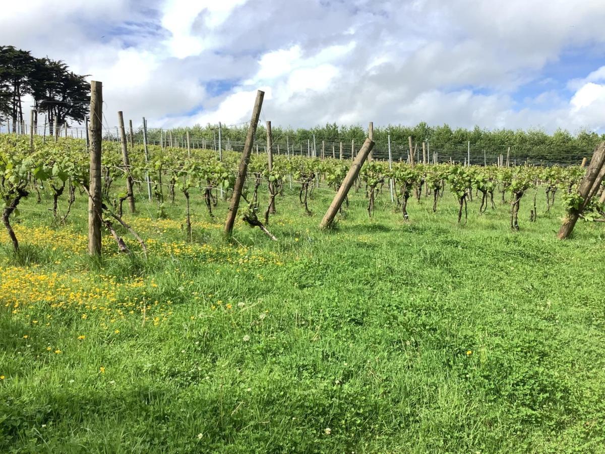 Polgoon Vineyard Annex Penzance Exterior foto